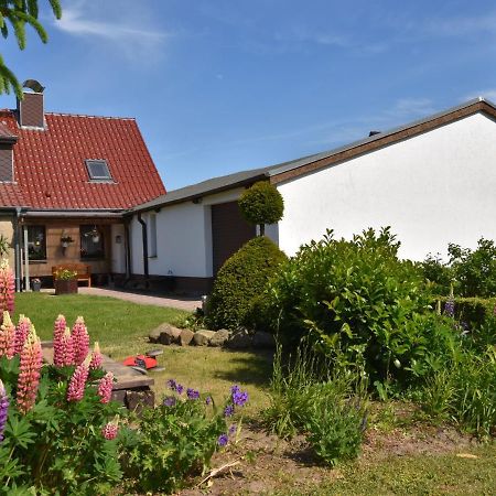 Apartment In Robertsdorf With Garden, Terrace, Barbecue Blowatz Værelse billede